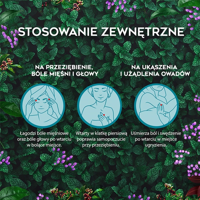 PR Image 2
