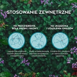 PR Image 2