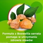PR Image 2
