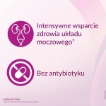 PR Image 2
