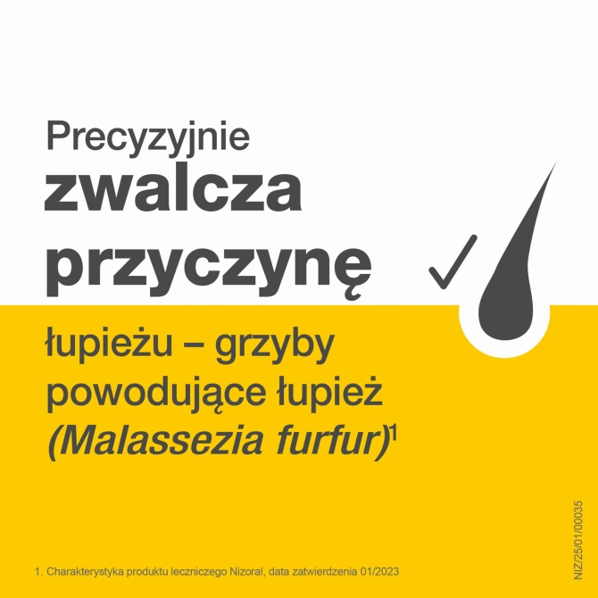 PR Image 2