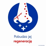 PR Image 1
