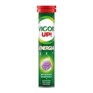 Vigor Up! Energia ow.leśne tabl.mus. x 20