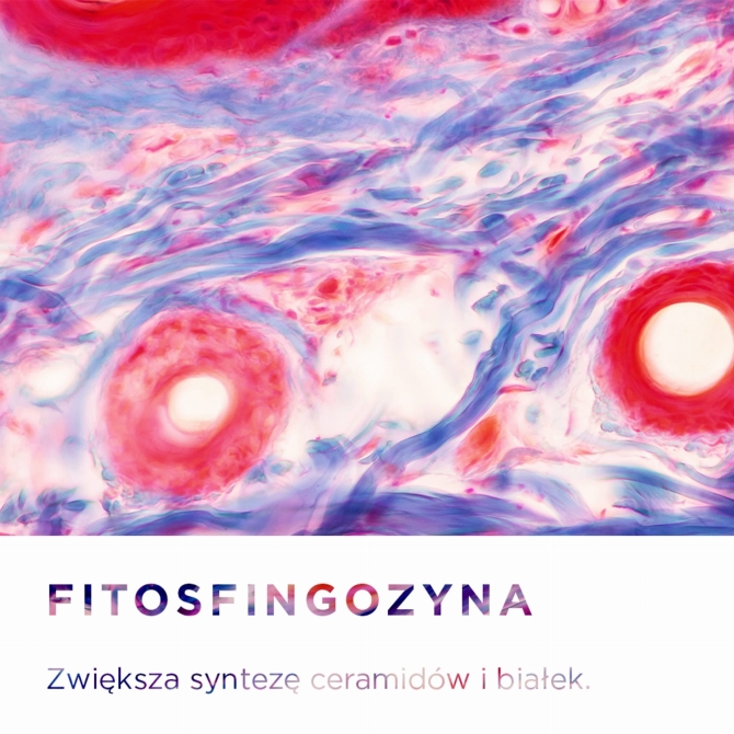 PR Image 5