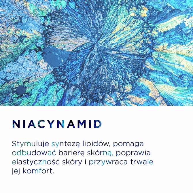 PR Image 4