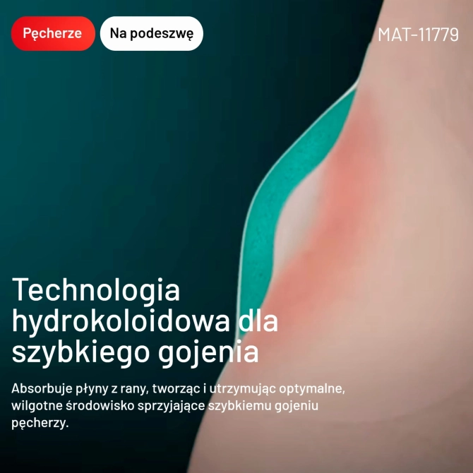 PR Image 4