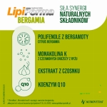 PR Image 3