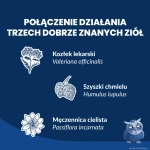 PR Image 2