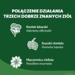 PR Image 2