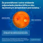PR Image 2