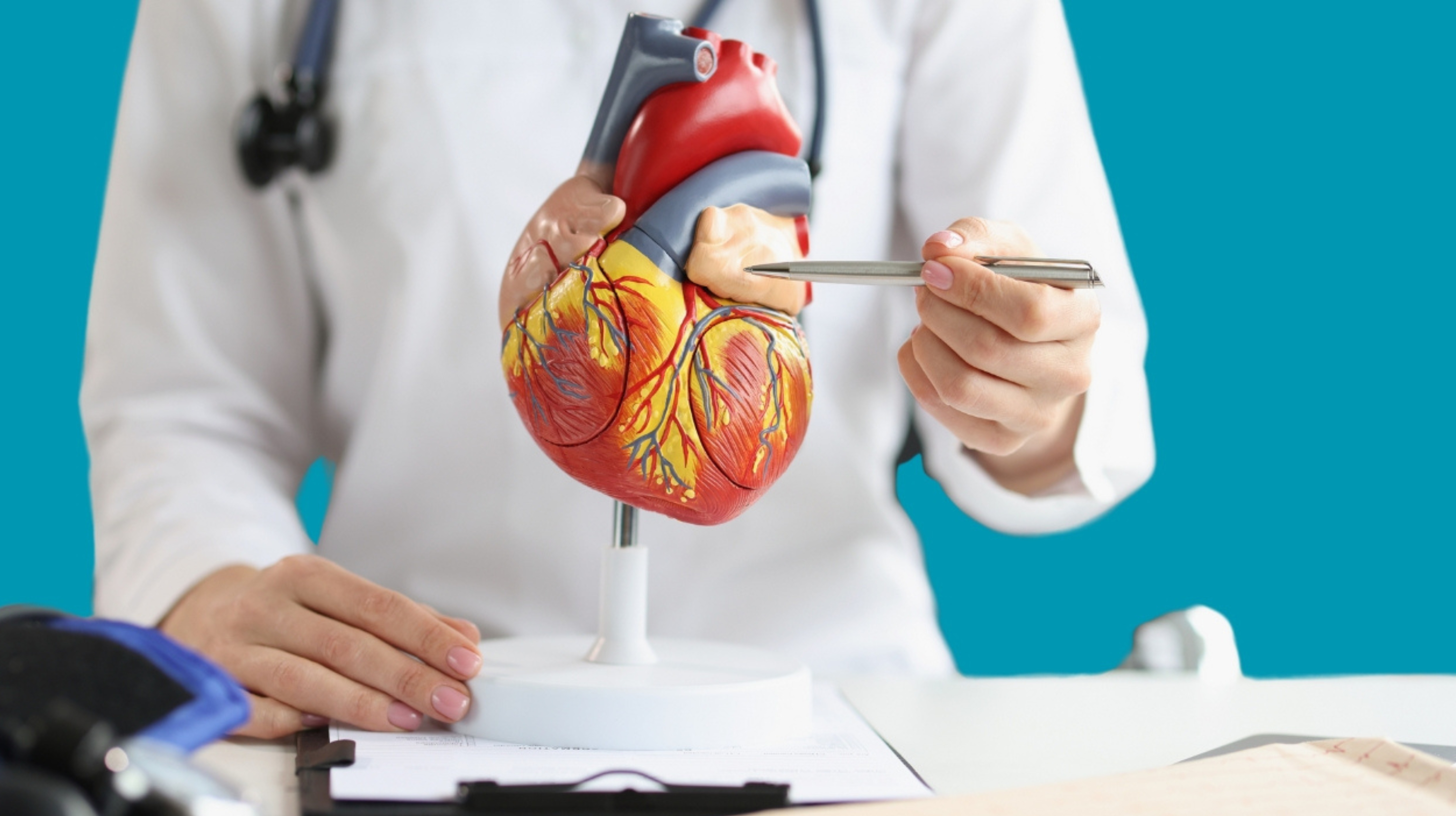 Serce - wady wrodzone i wady nabyte.